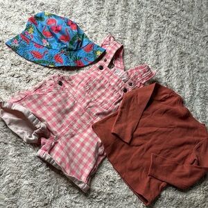 3T baby girl, overalls plaid, pink, white ribbed,long sleeve shirt, flamingo hat